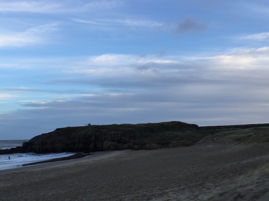 Sandhaven Beach景点图片