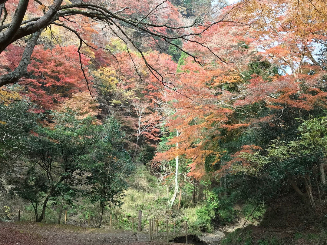 Umegase Valley-市原市必去景点