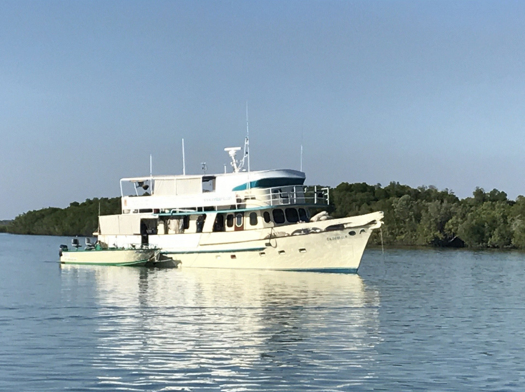Frontier Fishing-达尔文市必去景点
