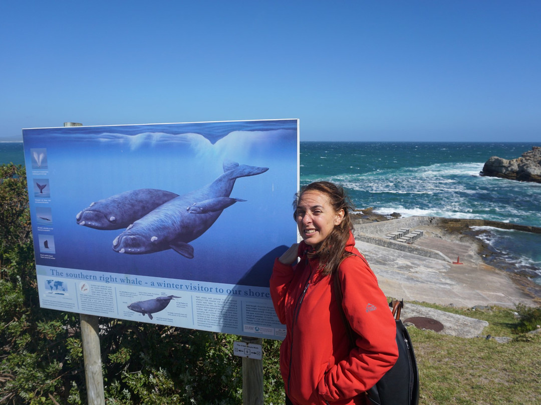 Personal Cape Town Tours Day Tours-Strandfontein必去景点
