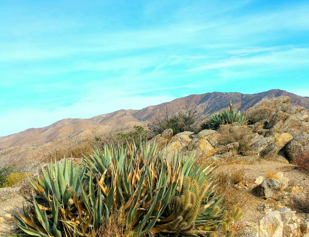 Cahuilla Tewanet Scenic Overlook-Mountain Center必去景点