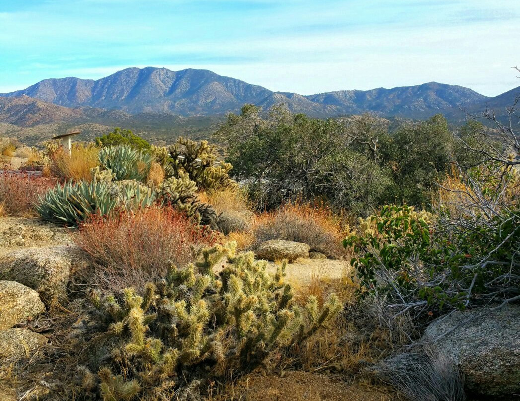 Cahuilla Tewanet Scenic Overlook-Mountain Center必去景点