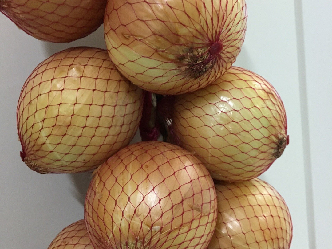 Feira do Pacaembu-圣保罗必去景点