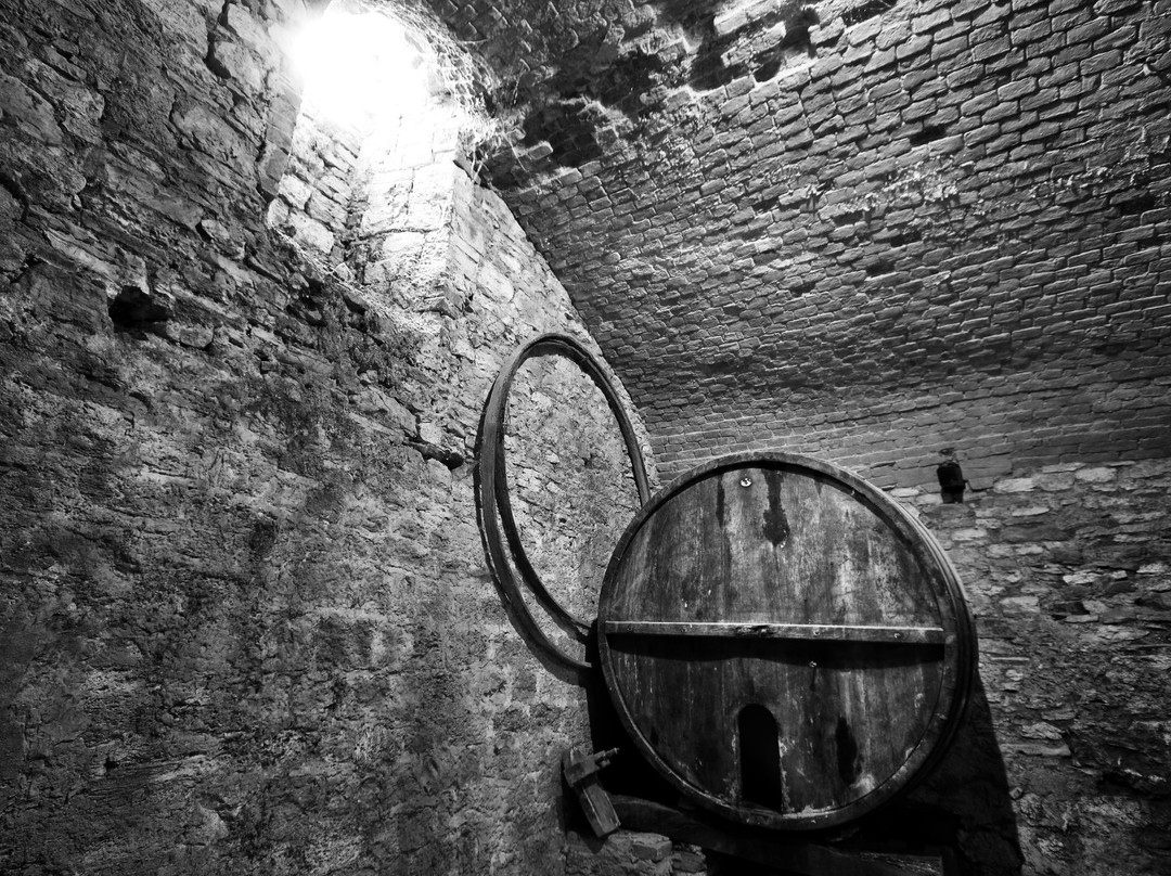 Museo dell'Antica Grancia e dell'Olio景点图片
