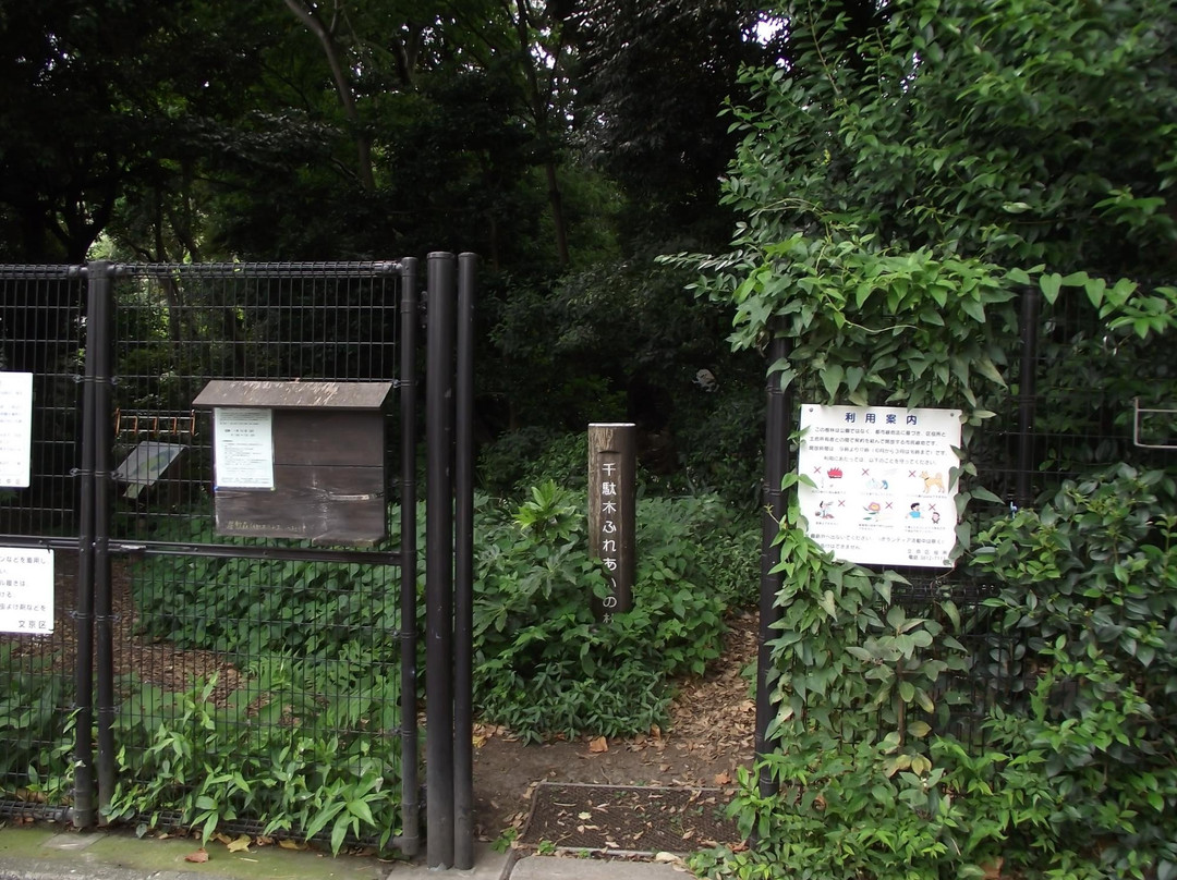 Sendagi Fureai no Mori