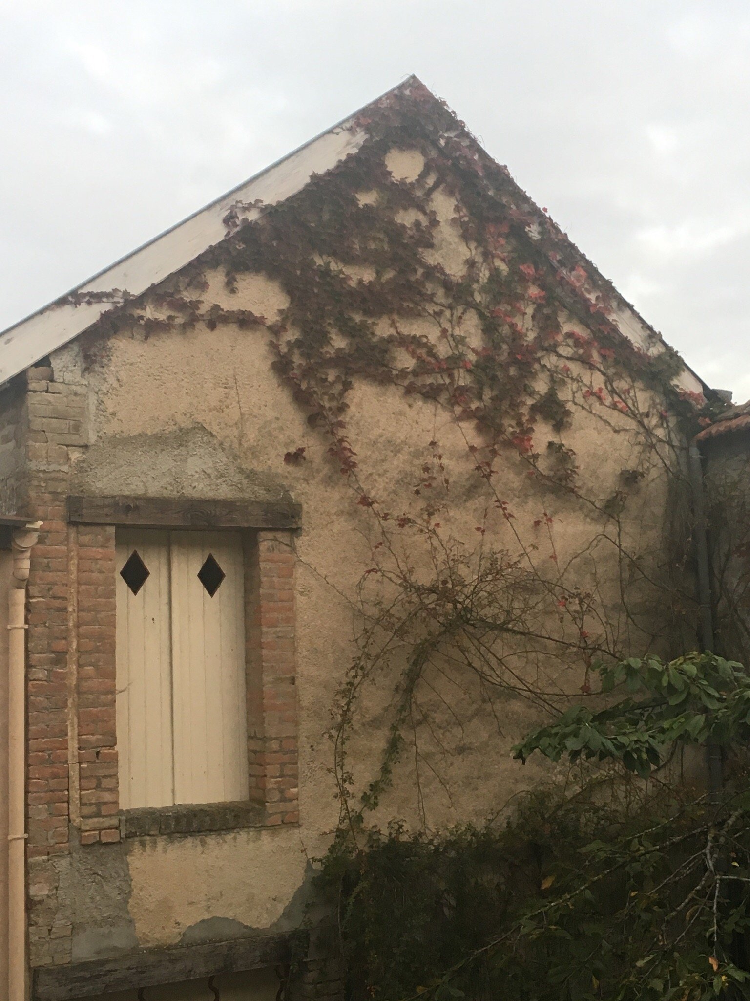 Chambres d'hotes Irene Chance-官方