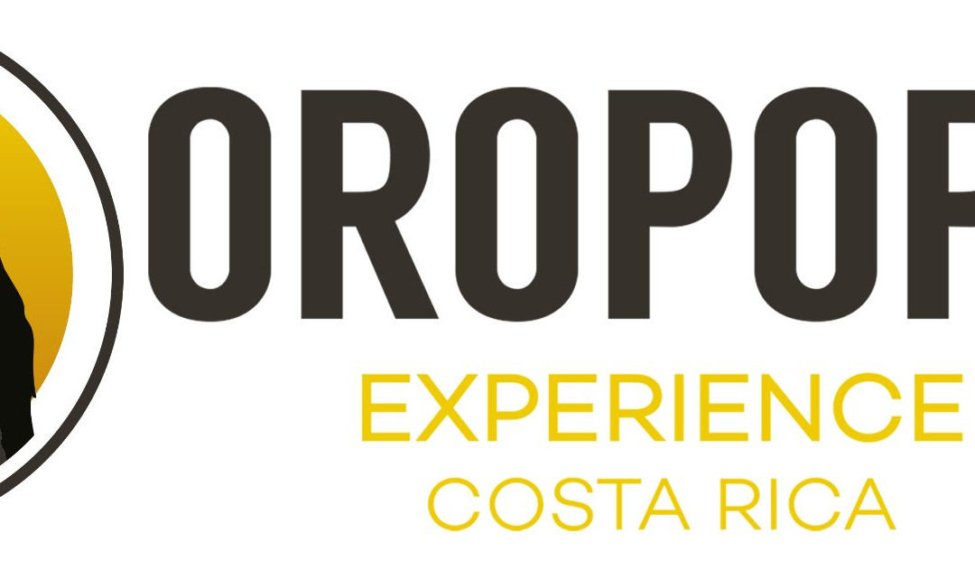 Oropopo Experience景点图片