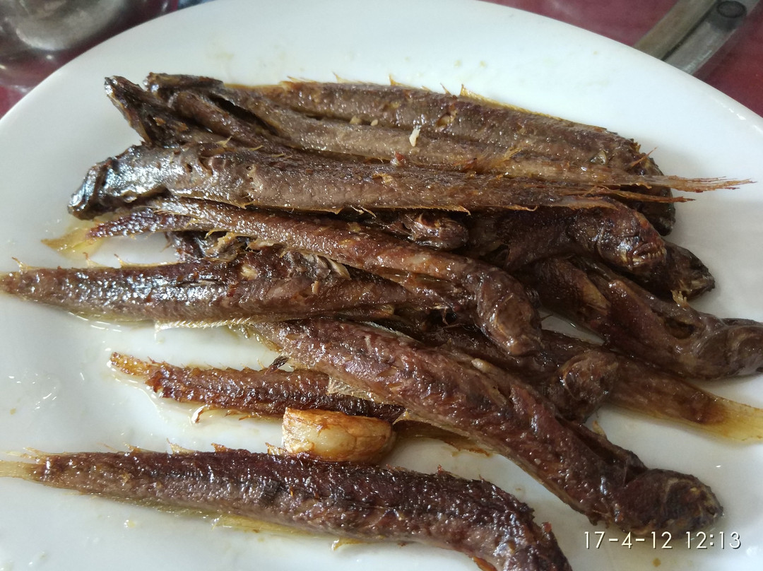 海口红树林-海口市必去景点