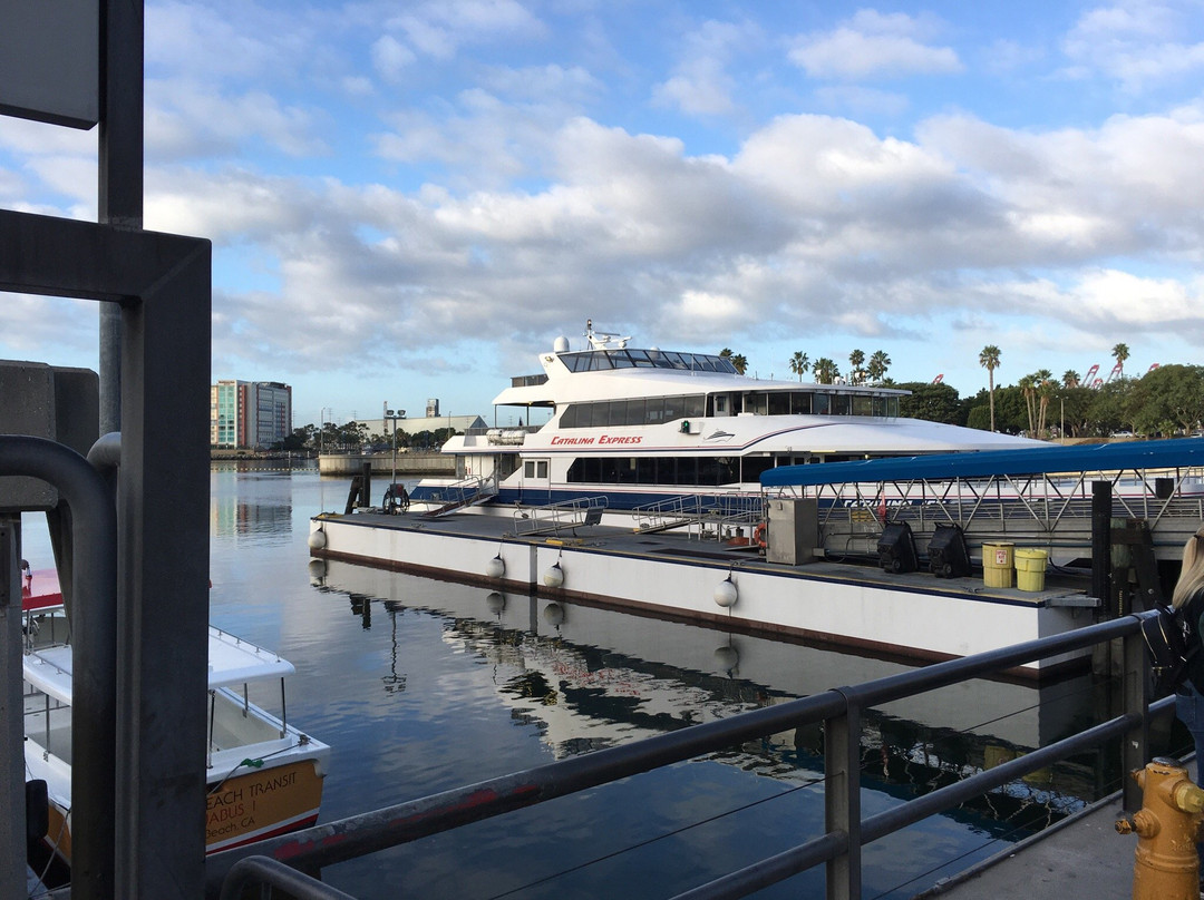 卡特琳娜小岛快捷游船-长滩必去景点