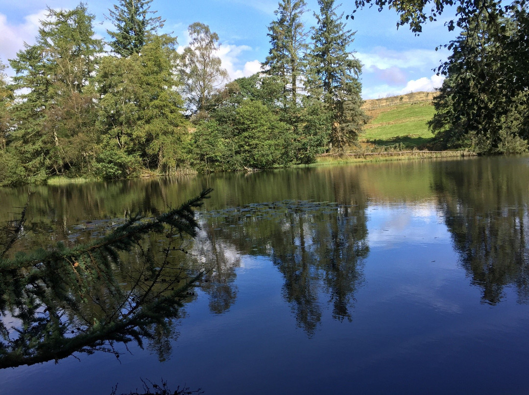 Near Sawrey旅游景点-Moss Eccles Tarn