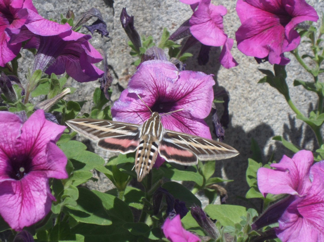 Beaverhead County Museum-Dillon必去景点