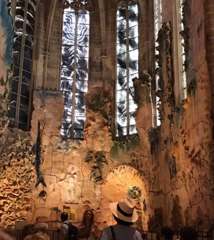Mallorca Top Excursions & Activities景点图片