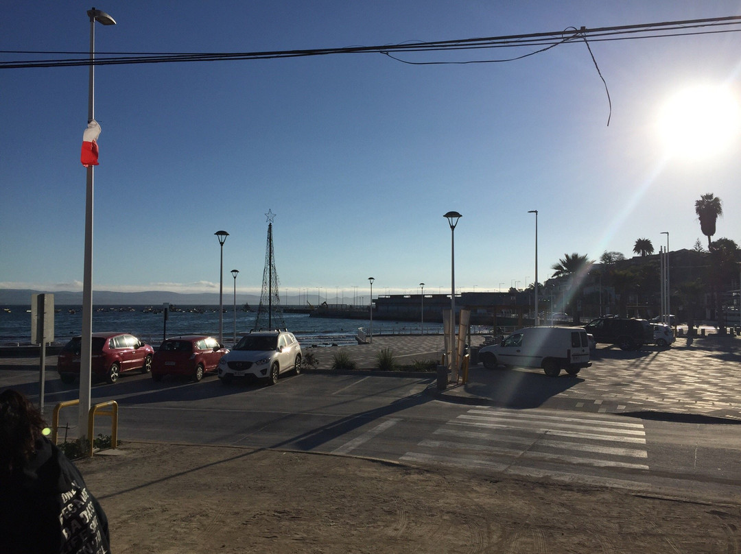 Playa Grande-Tongoy必去景点