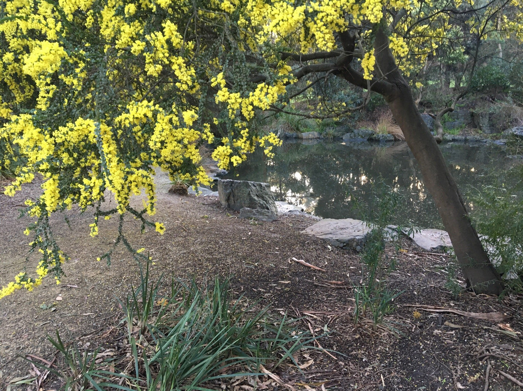 Bellbird dell景点图片