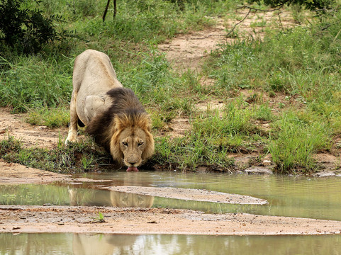 French African Safari-伐拉博瓦必去景点