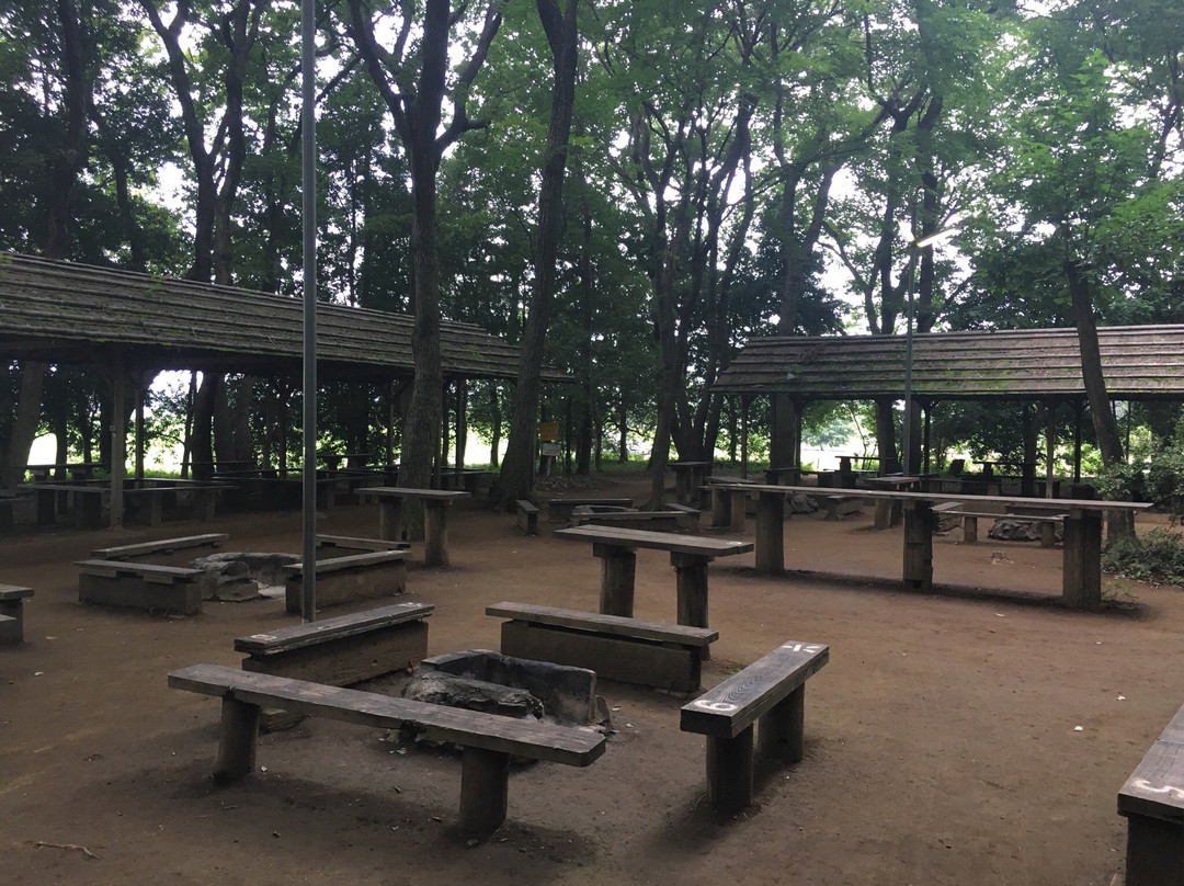 Toyosato Yukari no Mori-筑波市必去景点