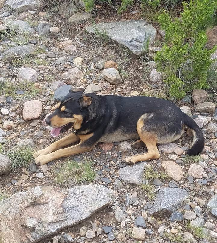 Cieneguilla Stables-陶斯县必去景点