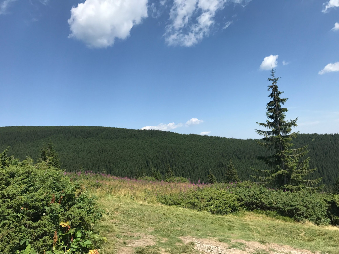 Carpathian National Nature Park-Yaremche必去景点