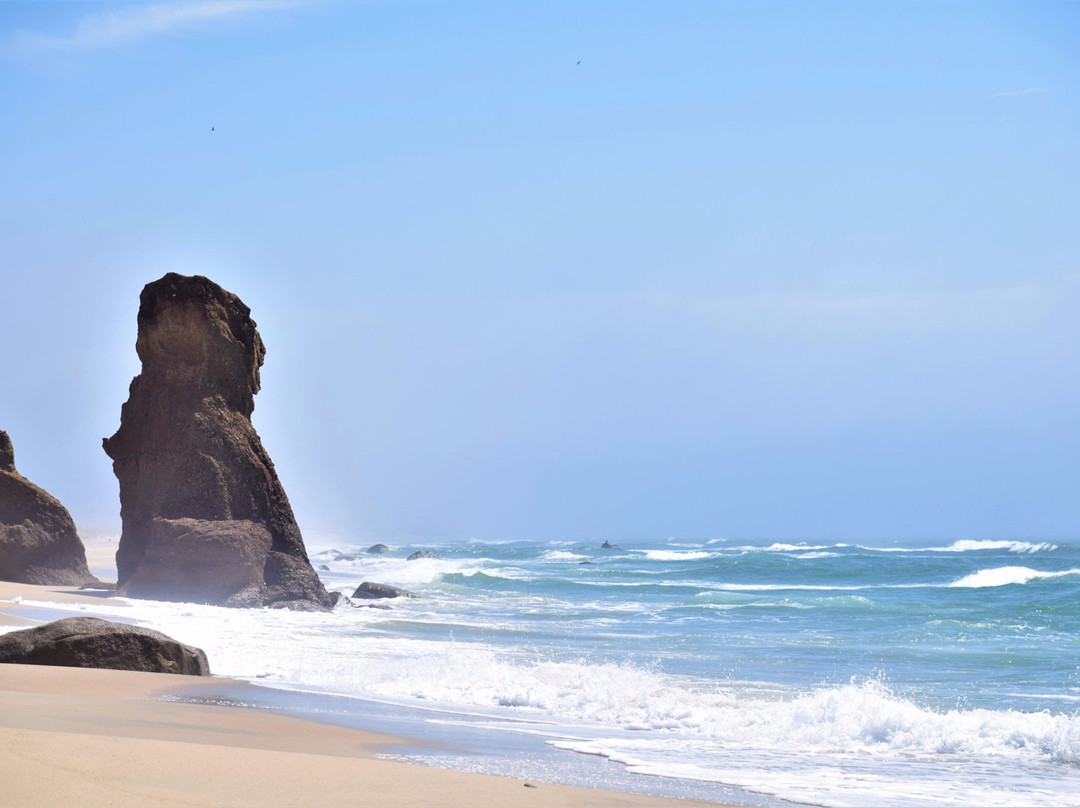 Lucy Vincent Beach景点图片