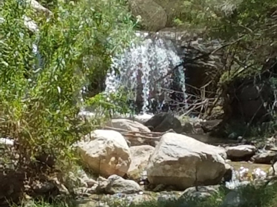 The Inner Canyon Tour from Williams, AZ-威廉姆斯必去景点