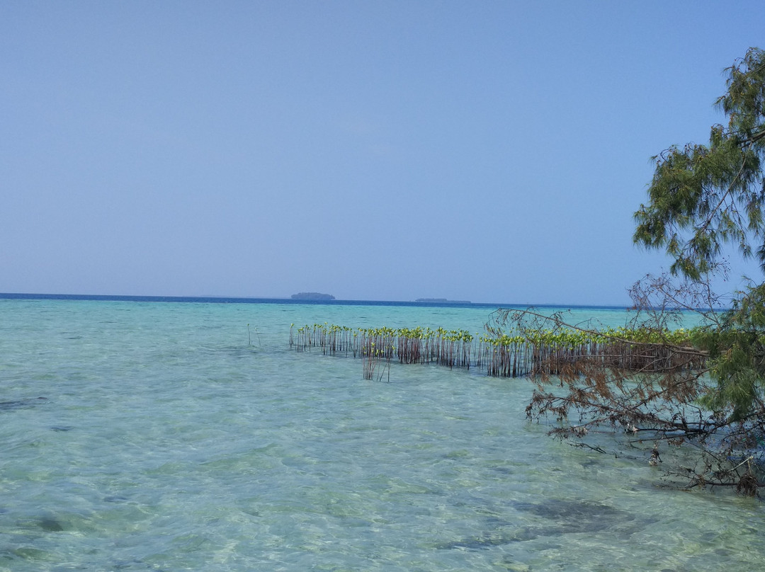 Semak Daun Island景点图片