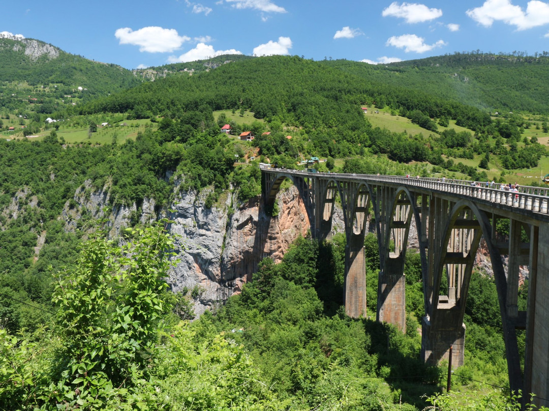 Tara River Canyon景点图片