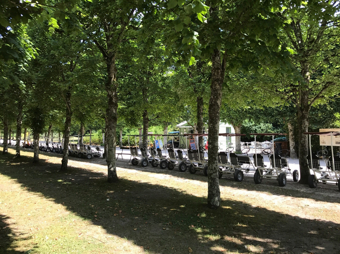Les Barques du Chateau景点图片