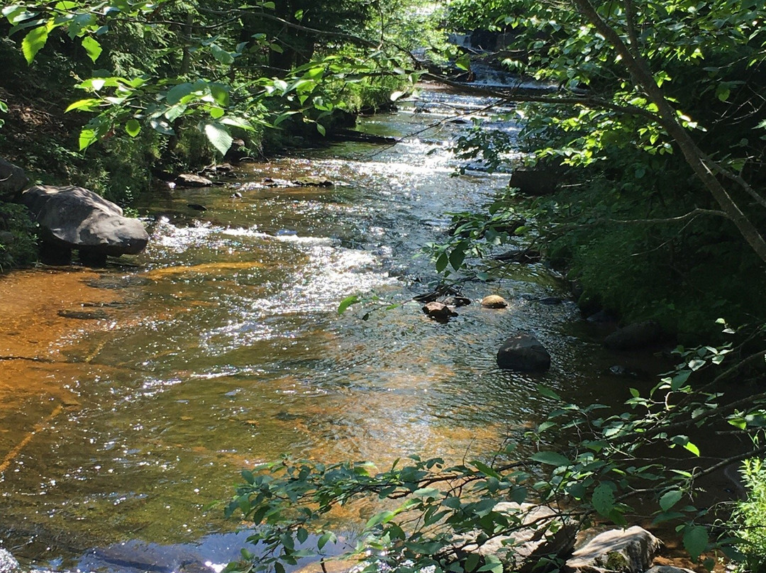 Lower Silver Falls-Baraga必去景点