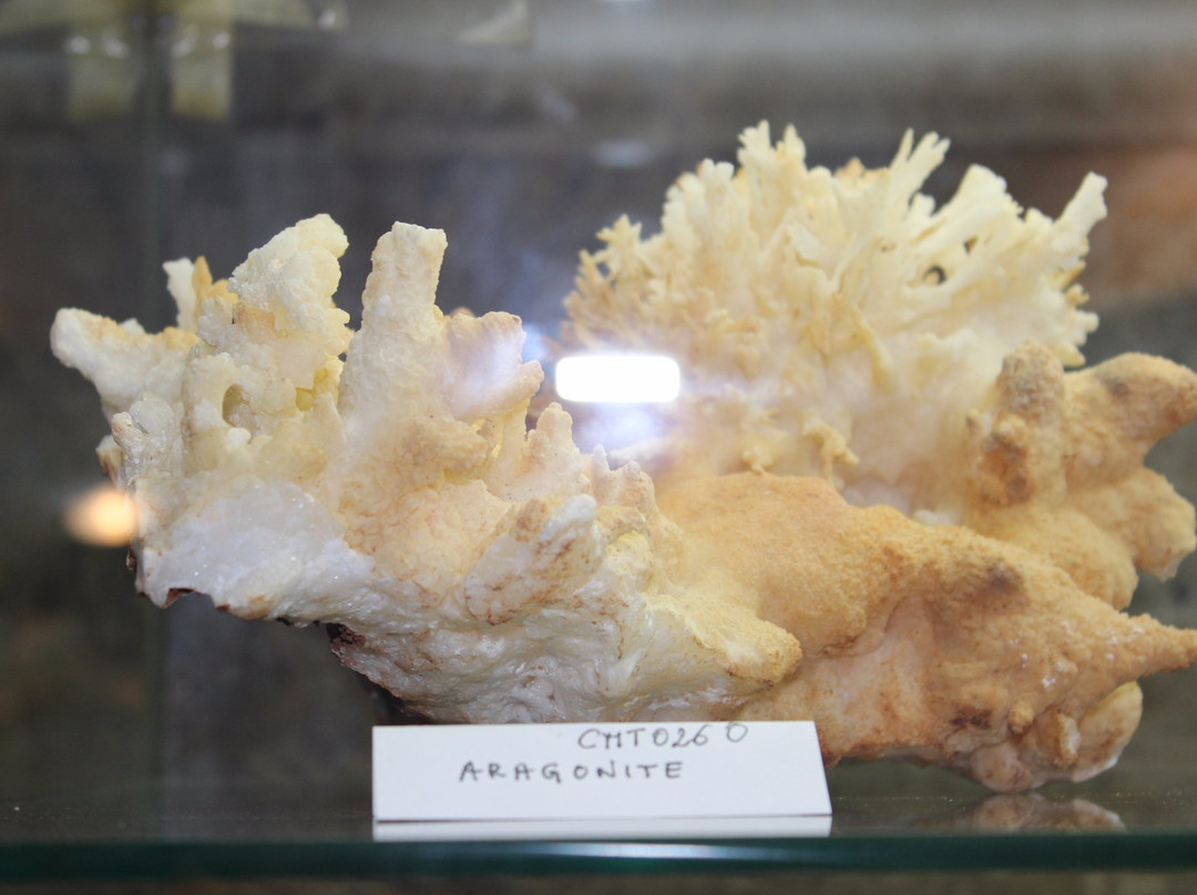 Museo del Minerale - Circolo Mineralogico Toscano景点图片