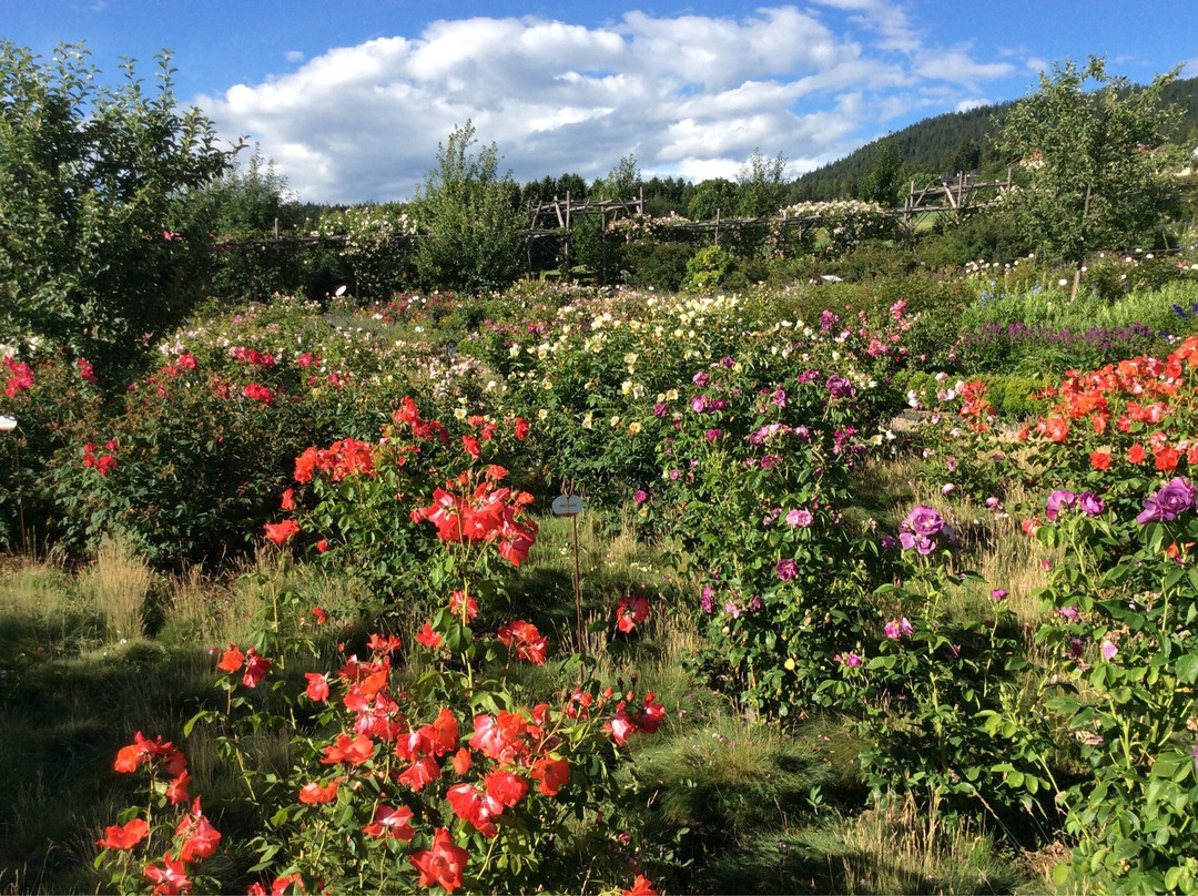 Giardino della Rosa景点图片