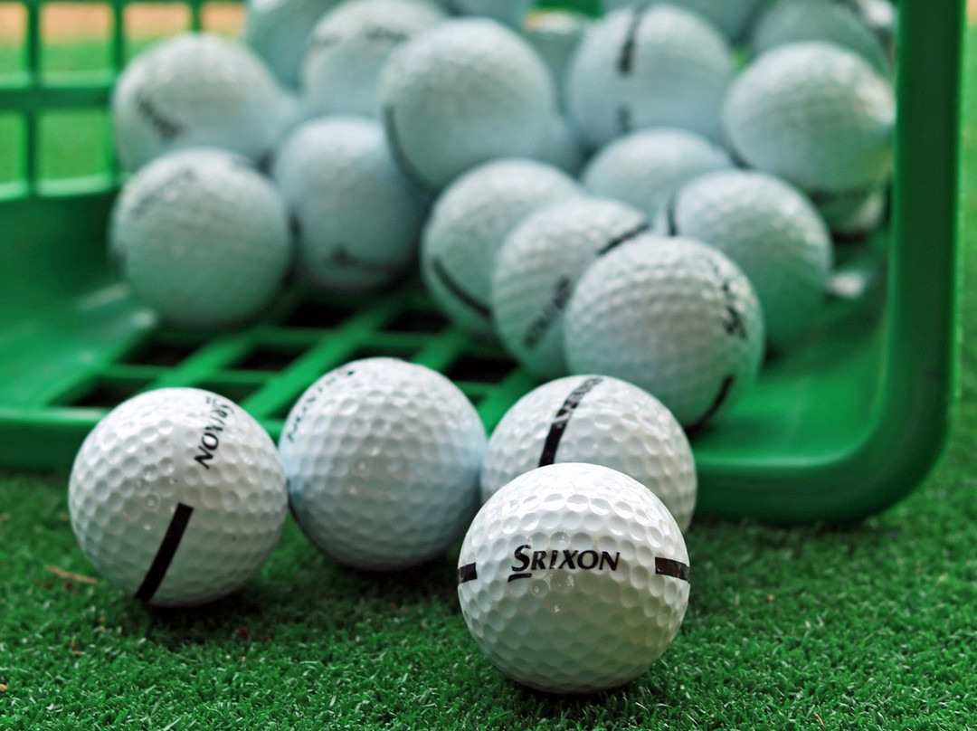 Chadwell Springs Family Golf Centre-Ware必去景点