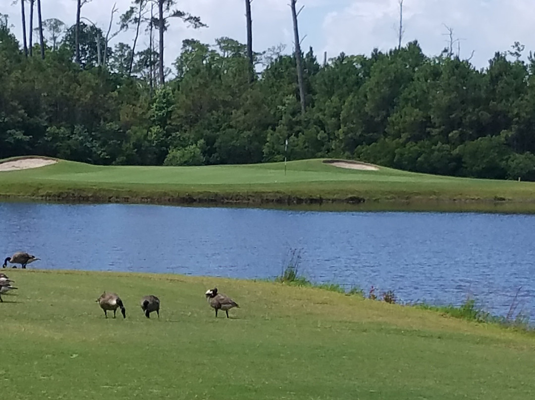 Kilmarlic Golf Club景点图片
