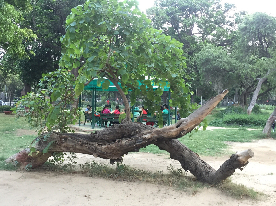 Rakh Bagh Park-卢迪亚纳必去景点