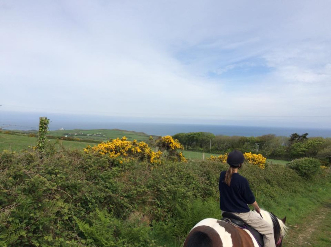 Llanwnda Stables-Goodwick必去景点