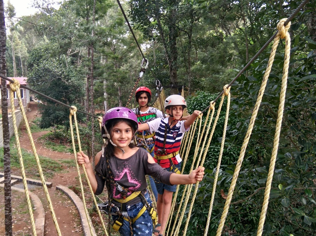Grange TreeTop Adventure景点图片