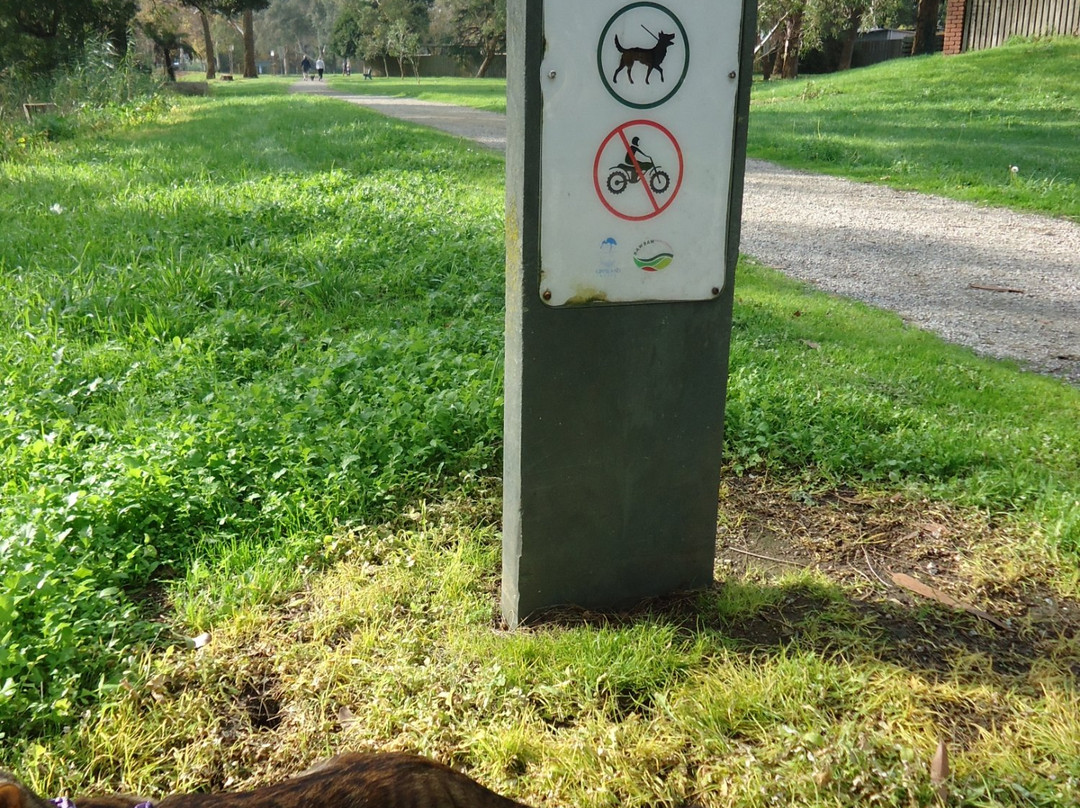 Rotary Park-沃拉格尔必去景点