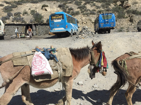 High Hike Nepal-博卡拉必去景点
