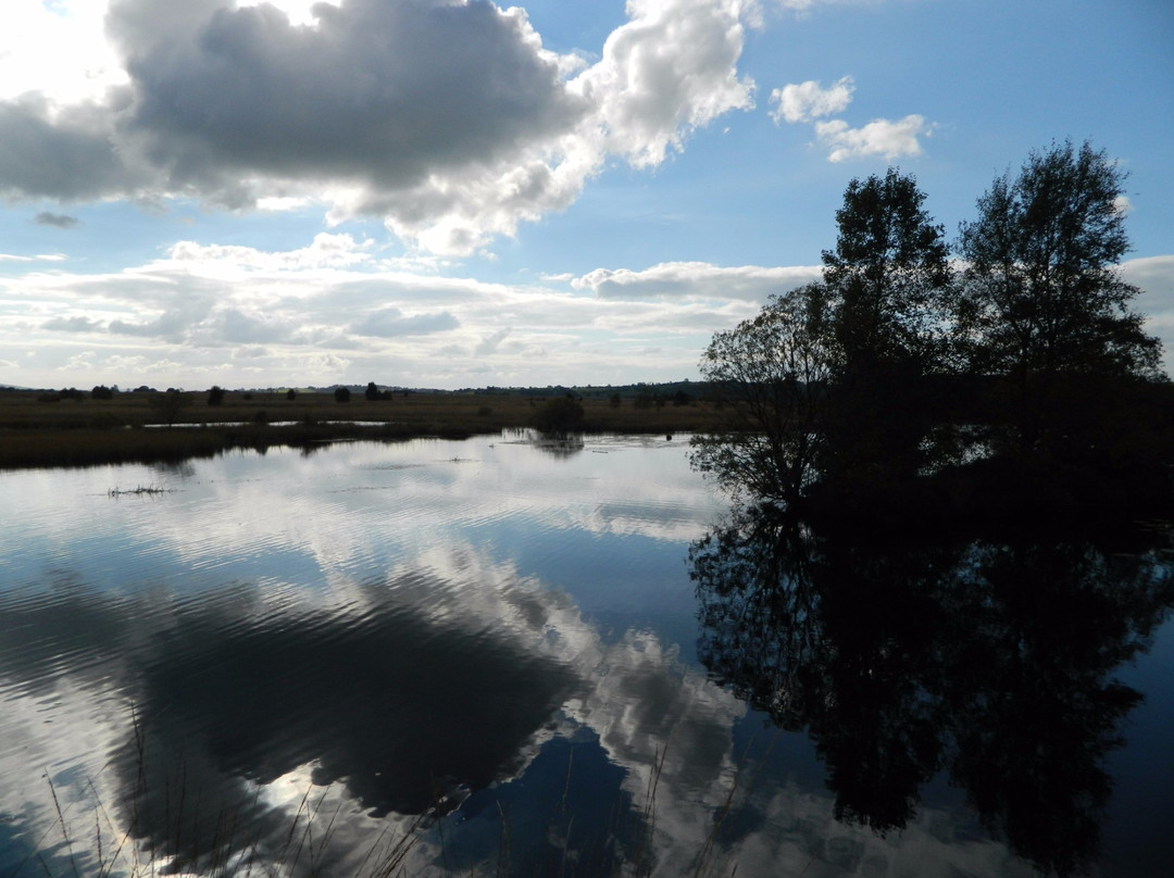 Cors Caron-Tregaron必去景点
