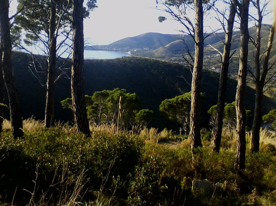 Frazione Case Del Conte