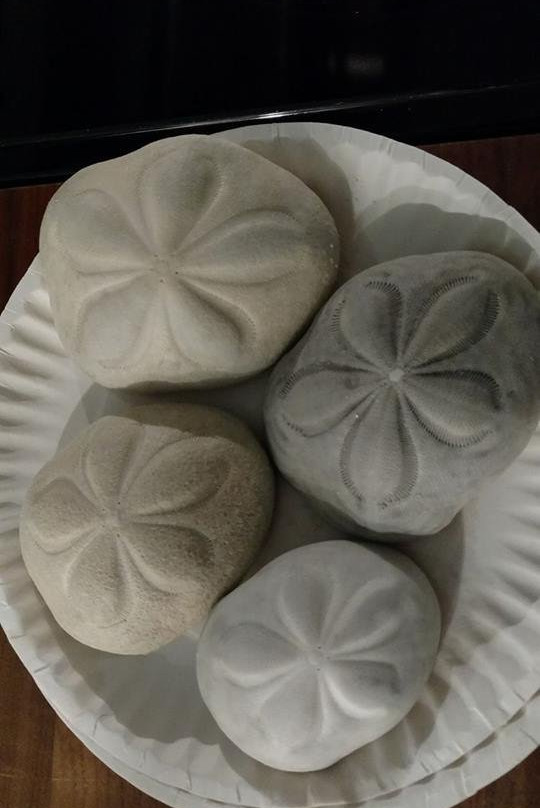 Columbus Landfall National Park-Grand Turk必去景点