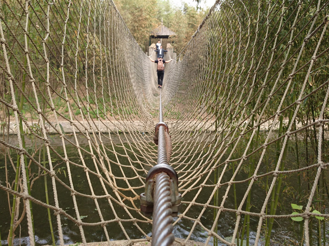 竹洞天-日照市必去景点
