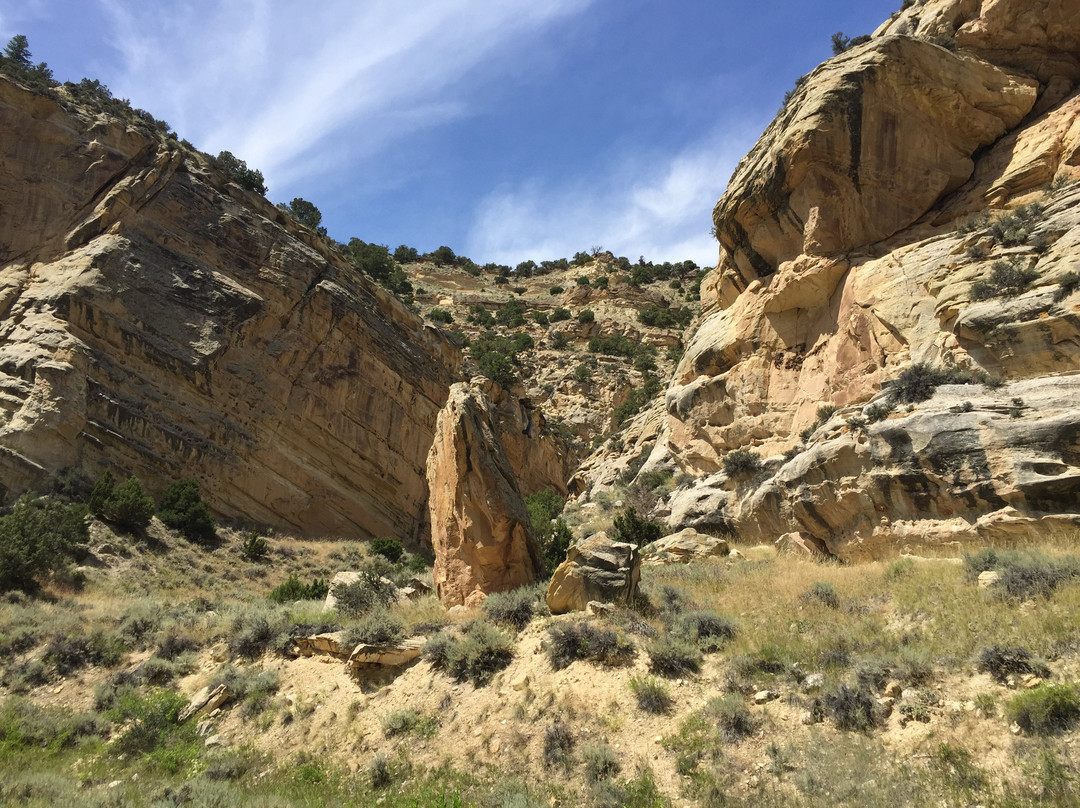 Sheep Creek Geological Loop景点图片