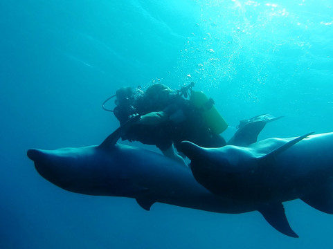 Israel Dive - diving in Eilat, Israel-埃拉特必去景点