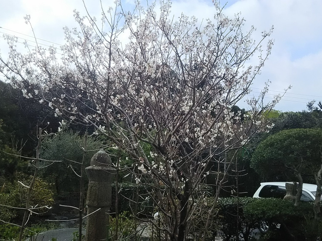 Blanc Blue Nagomi主图