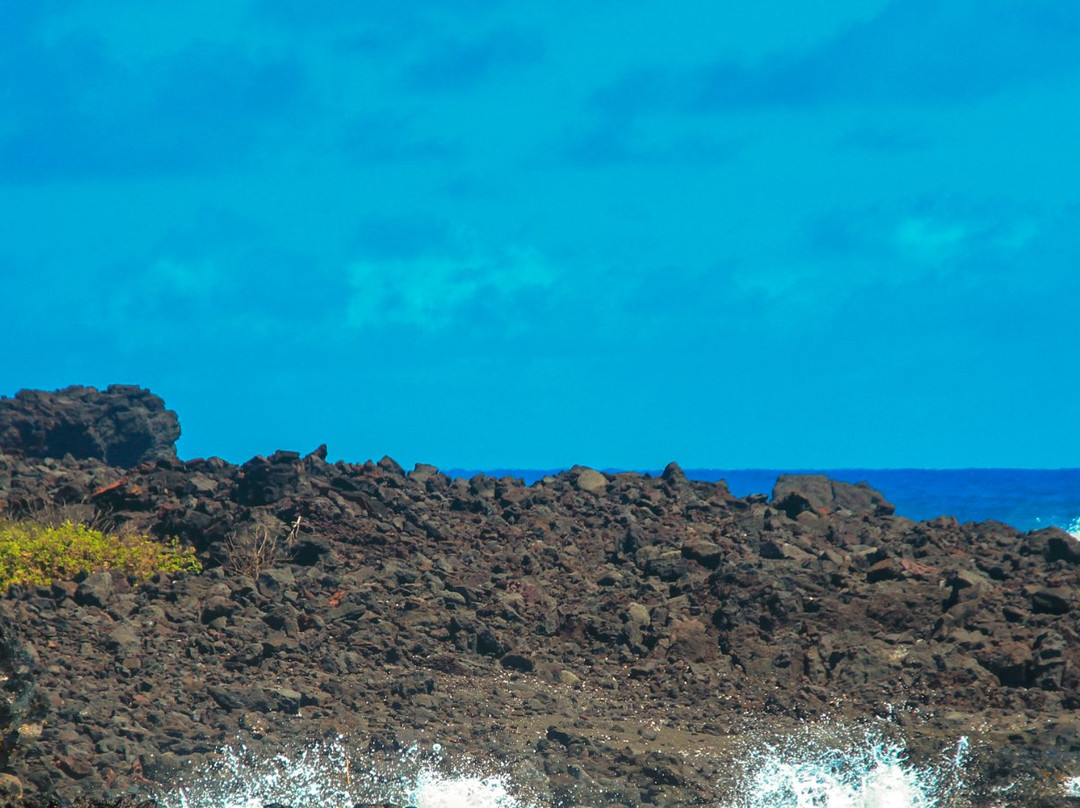 Pahoa Pool-帕霍亚必去景点