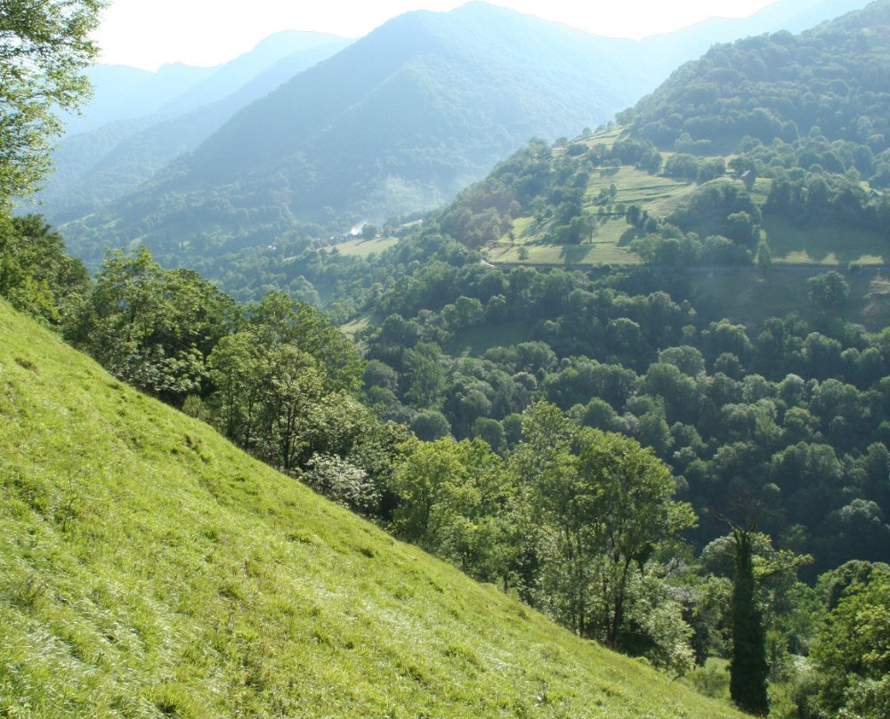 Ferme du Cap del Mail-Cierp-Gaud必去景点