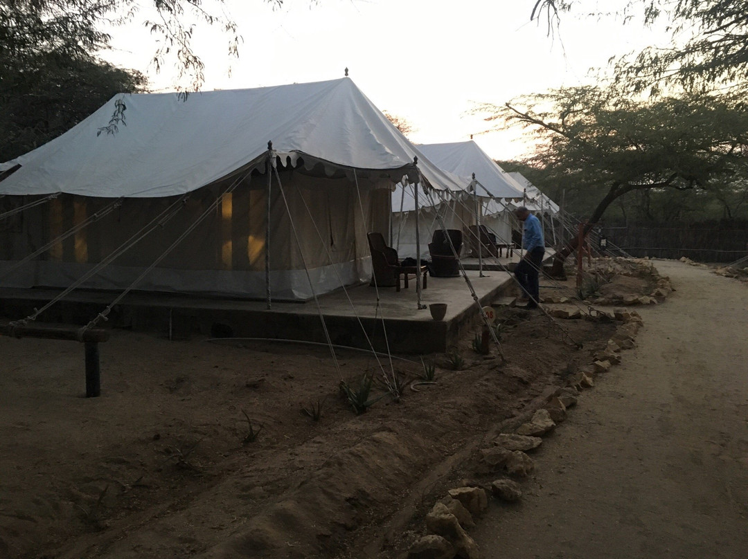 Mandvi Beach Resort主图