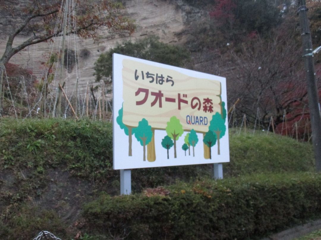 Ichihara Quard's Forest-市原市必去景点