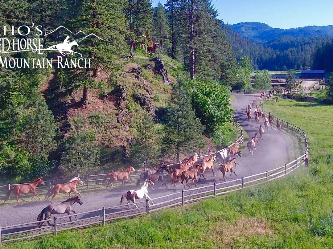 Red Horse Mountain Ranch