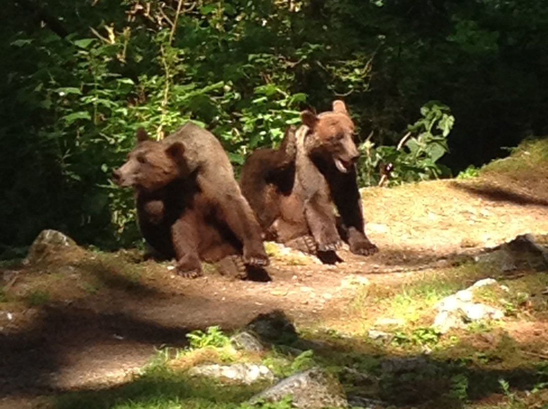 Summit Charters-Wrangell必去景点